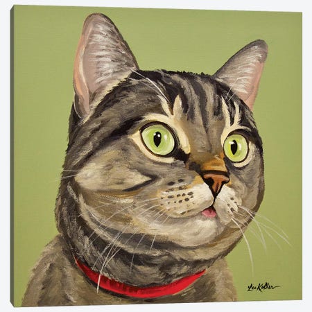Cat Tabby Penny Canvas Print #HHS366} by Hippie Hound Studios Canvas Wall Art
