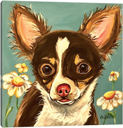 Chihuahua Gizmo Canvas Art Print - Hippie Hound Studios
