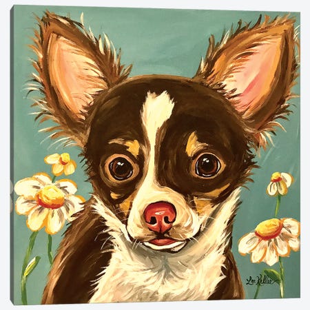 Chihuahua Gizmo Canvas Print #HHS371} by Hippie Hound Studios Canvas Artwork