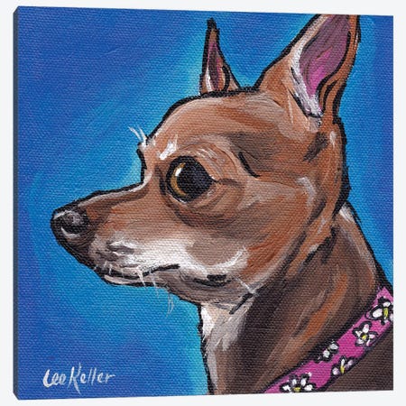 Chihuahua On Blue Canvas Print #HHS372} by Hippie Hound Studios Canvas Artwork