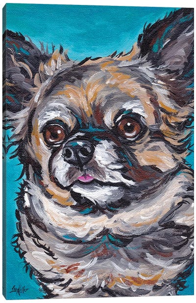 Chihuahua On Teal Canvas Art Print - Chihuahua Art