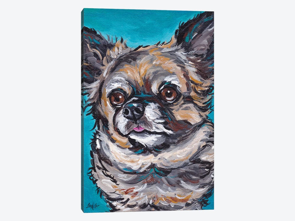 Chihuahua On Teal by Hippie Hound Studios 1-piece Canvas Wall Art