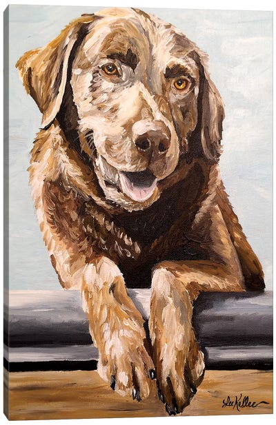 Chocolate Lab Betsy Canvas Art Print - Labrador Retriever Art