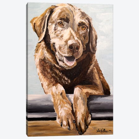 Chocolate Lab Betsy Canvas Print #HHS376} by Hippie Hound Studios Canvas Print