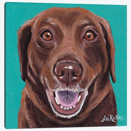 Chocolate Lab Turquoise Canvas Print #HHS377} by Hippie Hound Studios Art Print