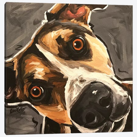 Close Up Dog Canvas Print #HHS379} by Hippie Hound Studios Canvas Art