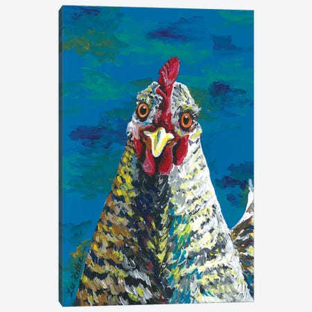 Colorful Barnrock Chicken Williaminia Canvas Print #HHS382} by Hippie Hound Studios Art Print