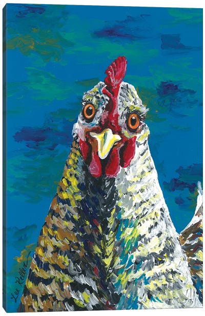 Colorful Barnrock Chicken Williaminia Canvas Art Print - Chicken & Rooster Art