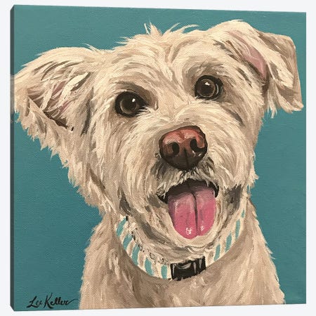 George Wheaten Terrier Canvas Print #HHS38} by Hippie Hound Studios Canvas Print