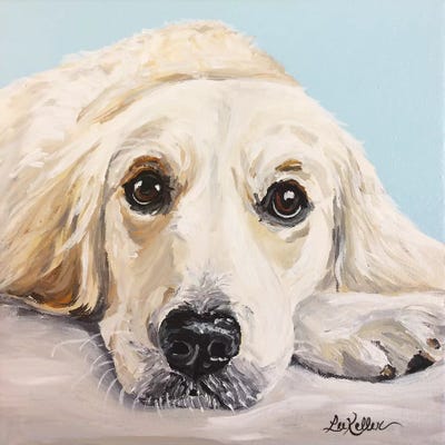 Cream Golden Retriever by Hippie Hound Studios canvas print