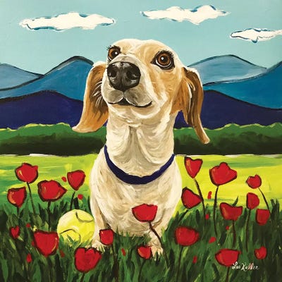 Dachshund Honey by Hippie Hound Studios framed wall art