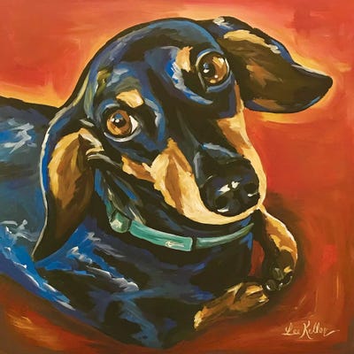 Dachshund Expressive by Hippie Hound Studios framed wall art