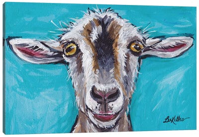 Gizmo The Goat Canvas Art Print - Kids Animal Art