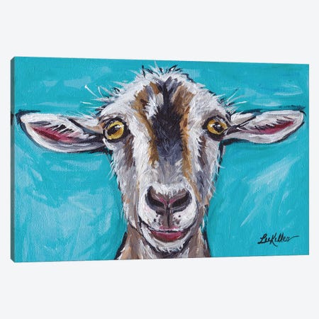 Gizmo The Goat Canvas Print #HHS39} by Hippie Hound Studios Canvas Print