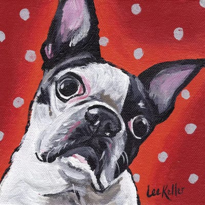 Boston Terrier On Polka Dots by Hippie Hound Studios metal wall art