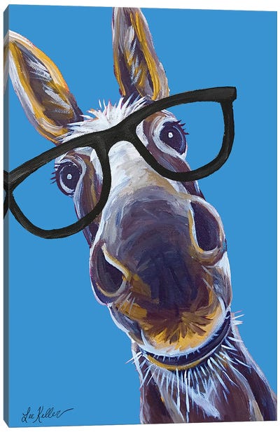 Donkey Snickers Glasses Canvas Art Print - Farm Animal Art