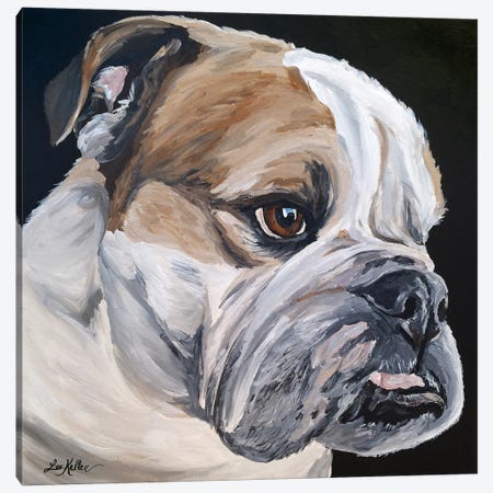 English Bulldog Jess Canvas Print #HHS403} by Hippie Hound Studios Canvas Wall Art