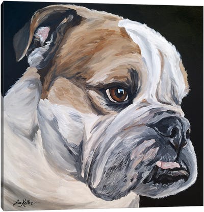 English Bulldog Jess Canvas Art Print - Bulldog Art