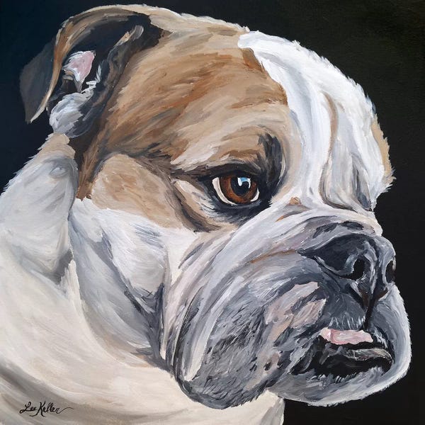 Bulldogs: English Bulldog Jess by Hippie Hound Studios