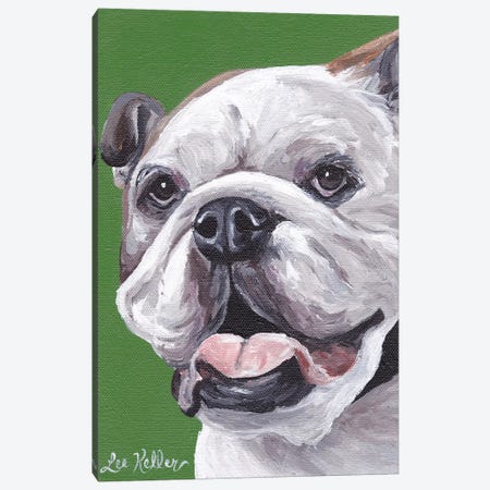 English Bulldog On Green Canvas Print #HHS404} by Hippie Hound Studios Art Print