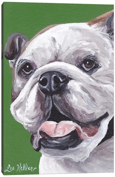 English Bulldog On Green Canvas Art Print - Bulldog Art