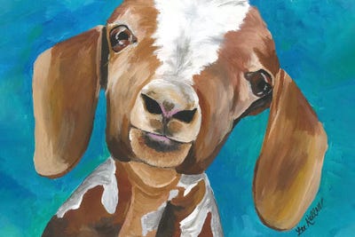 Goat Millie by Hippie Hound Studios framed canvas print