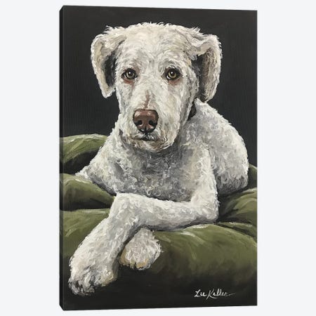 Golden Doodle Chillin' Canvas Print #HHS41} by Hippie Hound Studios Canvas Wall Art