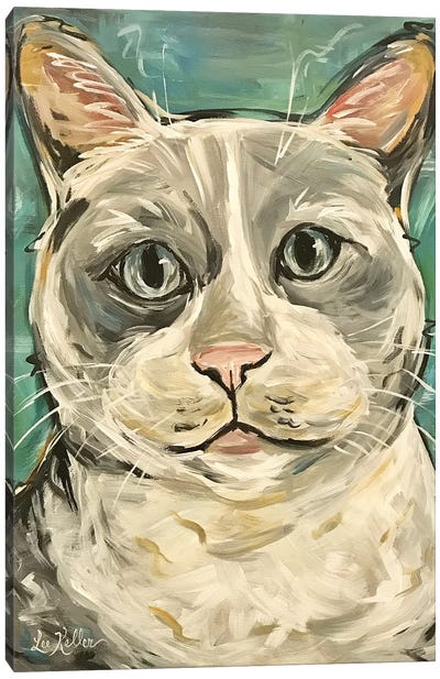 Gray Tabby Cat Canvas Art Print - Tabby Cat Art