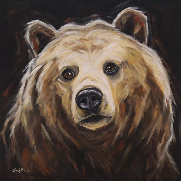 Grizzly Bears: Grizzly Bear 'Honey' by Hippie Hound Studios