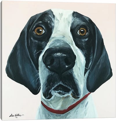 Hound Dog Pink Canvas Art Print - Bloodhound Art
