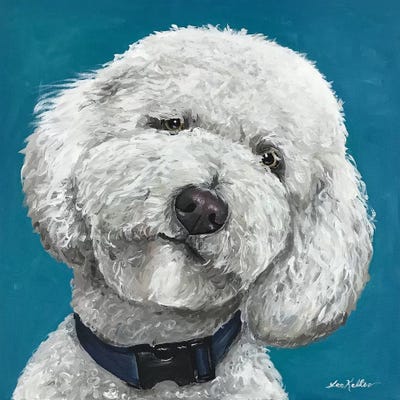 Goldendoodle On Teal by Hippie Hound Studios framed wall art