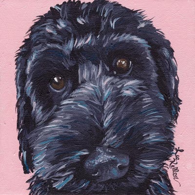 Labradoodle Dog II by Hippie Hound Studios framed canvas print