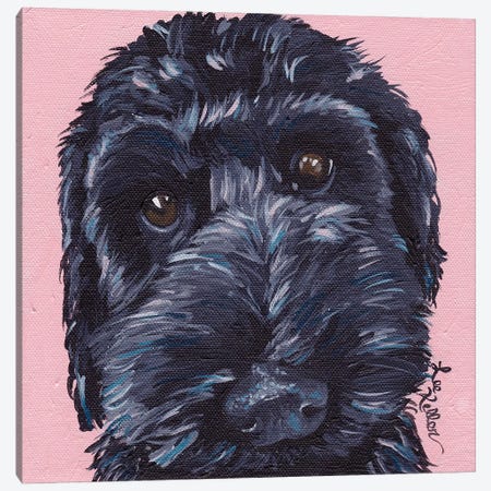 Labradoodle Dog II Canvas Print #HHS432} by Hippie Hound Studios Canvas Art Print