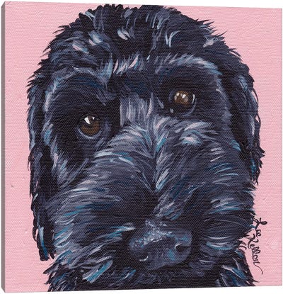 Labradoodle Dog II Canvas Art Print - Black & Pink