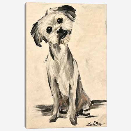 Little Terrier Dog Expressive Canvas Print #HHS433} by Hippie Hound Studios Canvas Print