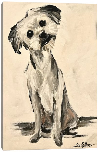 Little Terrier Dog Expressive Canvas Art Print - Yorkshire Terrier Art