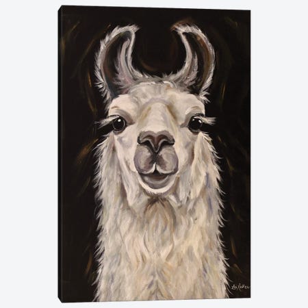 Llama Blanca Canvas Print #HHS434} by Hippie Hound Studios Canvas Wall Art