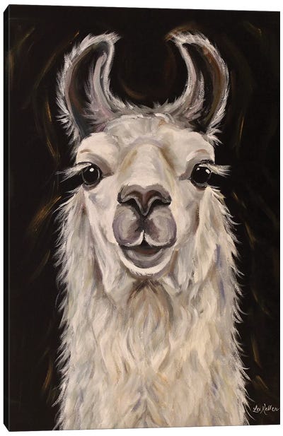 Llama Blanca Canvas Art Print - Llama & Alpaca Art
