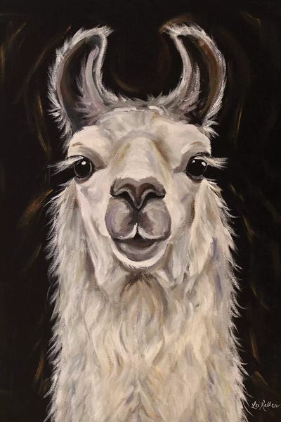 Llamas: Llama Blanca by Hippie Hound Studios