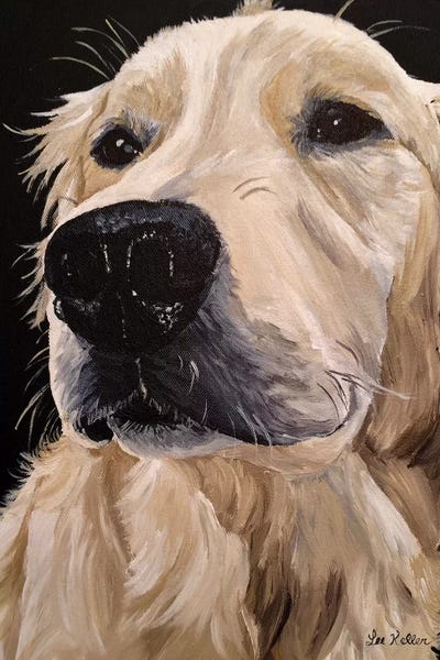 Golden Retrievers: Golden Retriever Diane by Hippie Hound Studios