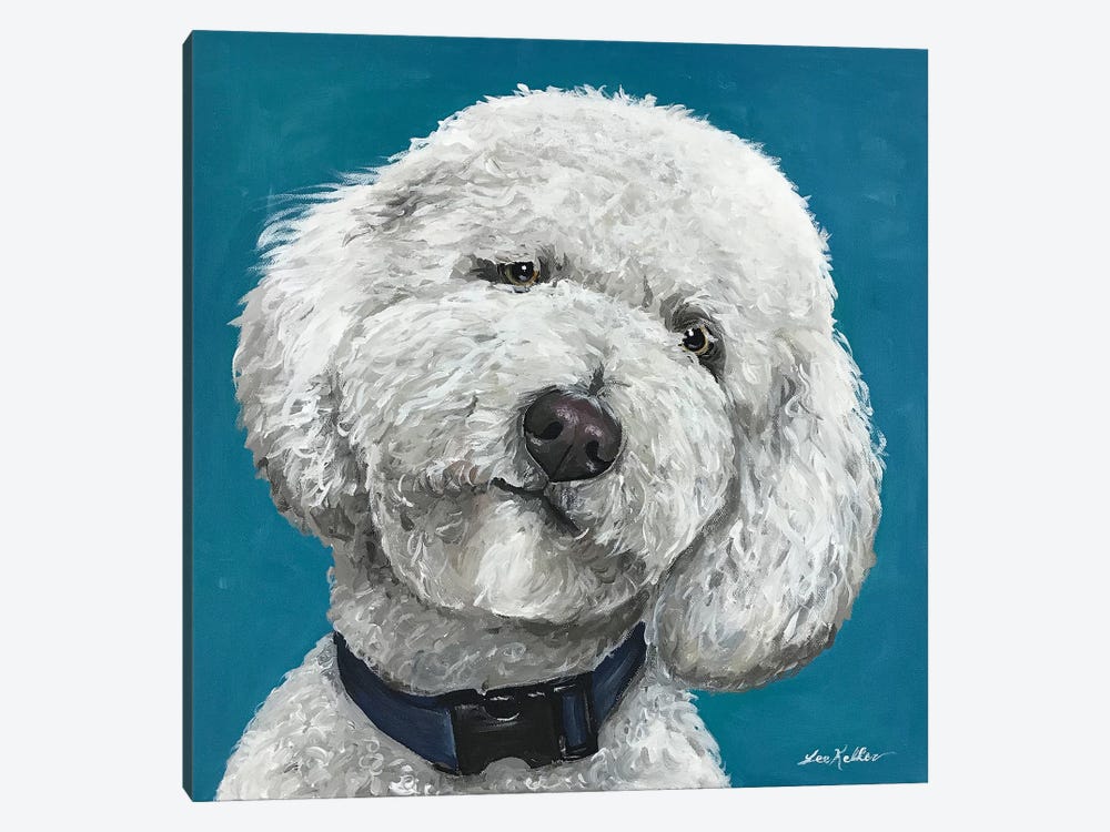 Goldendoodle On Teal by Hippie Hound Studios 1-piece Canvas Print