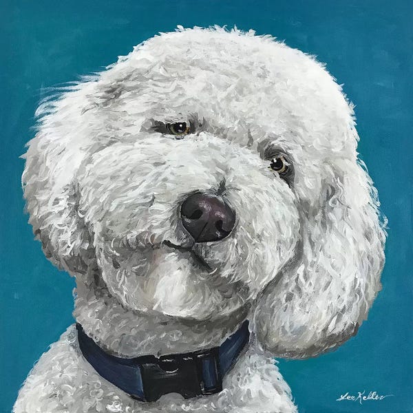 Goldendoodles: Goldendoodle On Teal by Hippie Hound Studios