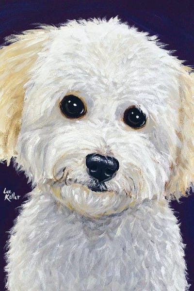 Hippie Hound Studios: Pepper Mini Golden Doodle by Hippie Hound Studios