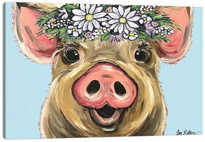 Pig Posey On Turquoise Daisies Canvas Art Print - Daisy Art