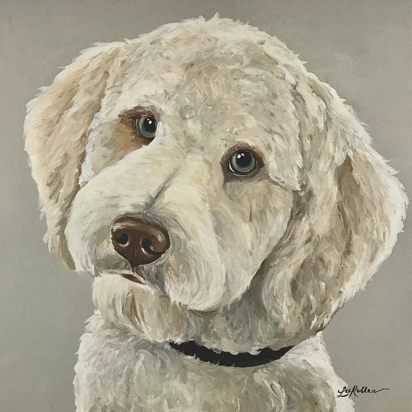 Hippie Hound Studios: Goldendoodle With Blue Eyes by Hippie Hound Studios