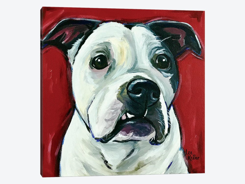 Pit Bull Expressive Red by Hippie Hound Studios 1-piece Canvas Print