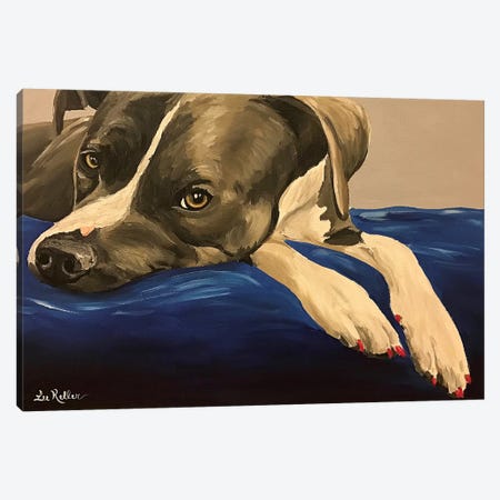 Pit Bull Nails Canvas Print #HHS451} by Hippie Hound Studios Canvas Art Print