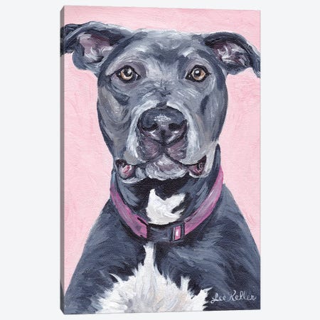 Pit Bull On Pink Canvas Print #HHS452} by Hippie Hound Studios Canvas Print