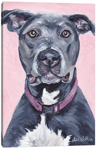 Pit Bull On Pink Canvas Art Print - Pit Bull Art