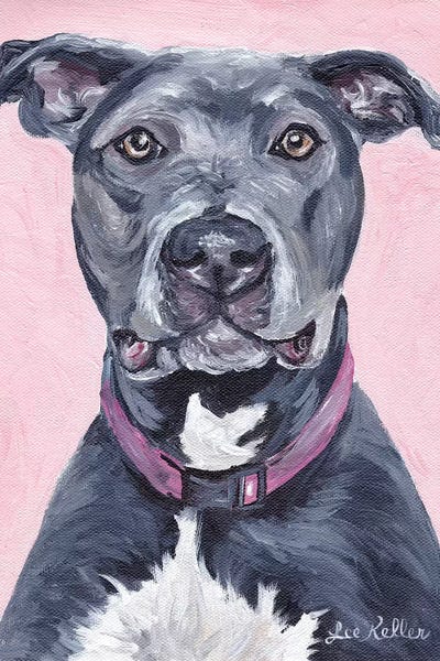 Hippie Hound Studios: Pit Bull On Pink by Hippie Hound Studios
